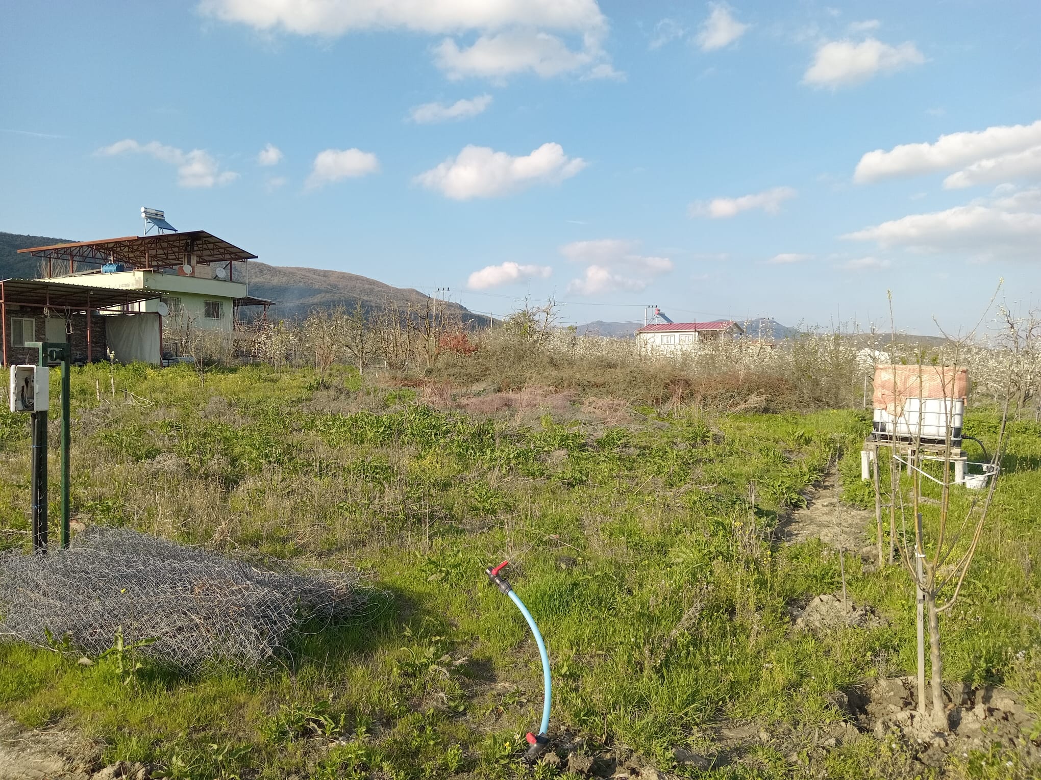KESTEL GÖLCÜK'TE 500 m2 SATILIK HOBİ BAHÇESİ - BURSA KESTEL fotoğraf 6